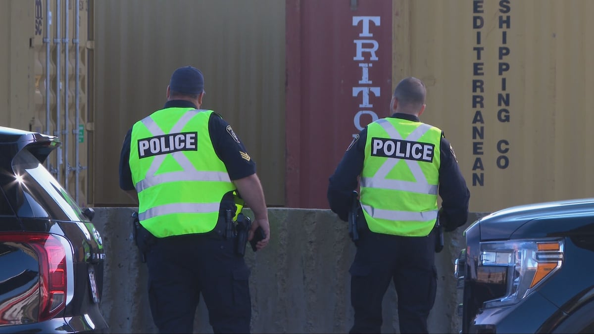 Police say 30-year-old railroad worker killed after being struck by train in Montreal