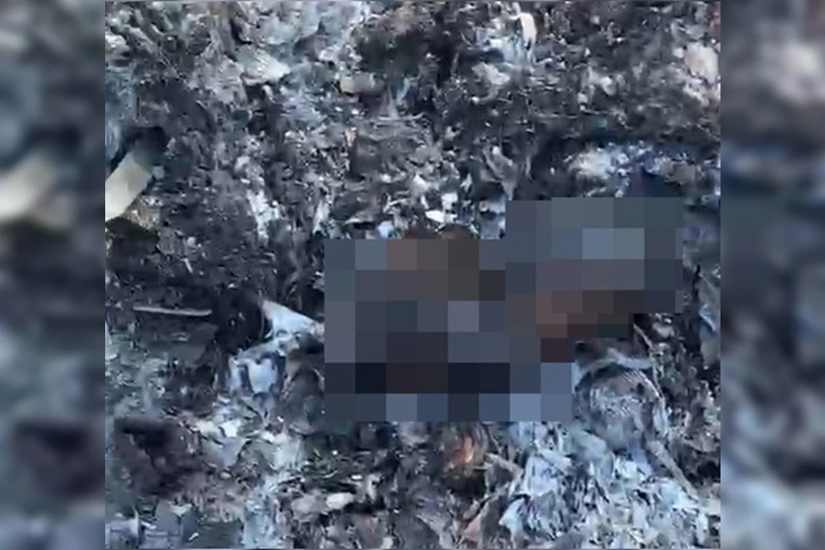 Suposto recém-nascido é encontrado carbonizado no Recanto das Emas