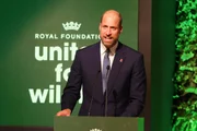 William terá a palavra final sobre importante decisão dos filhos de Harry