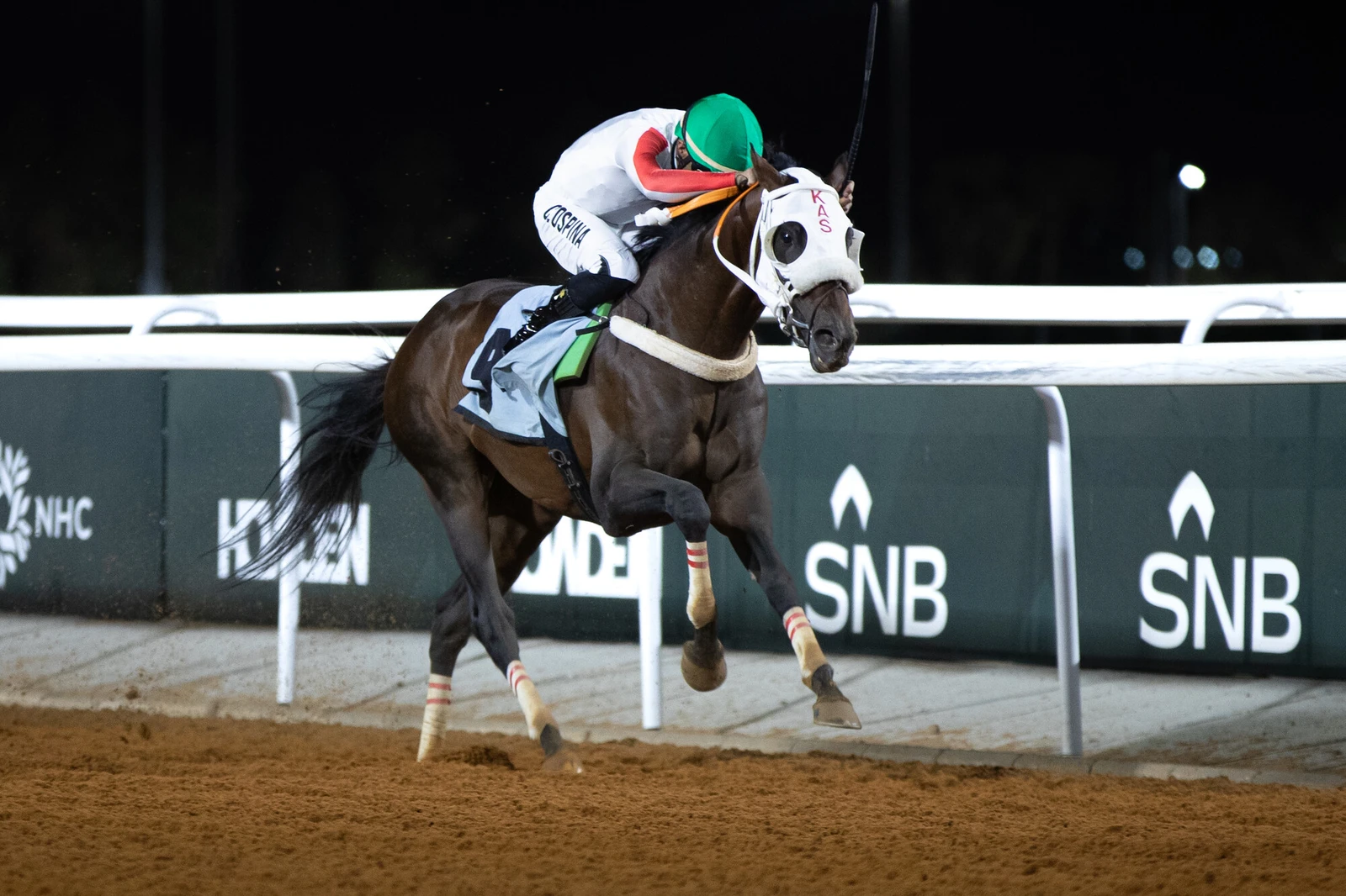 Taça do Dia Nacional nas manchetes enquanto a temporada de corridas em Taif chega ao fim no Hipódromo Rei Khalid