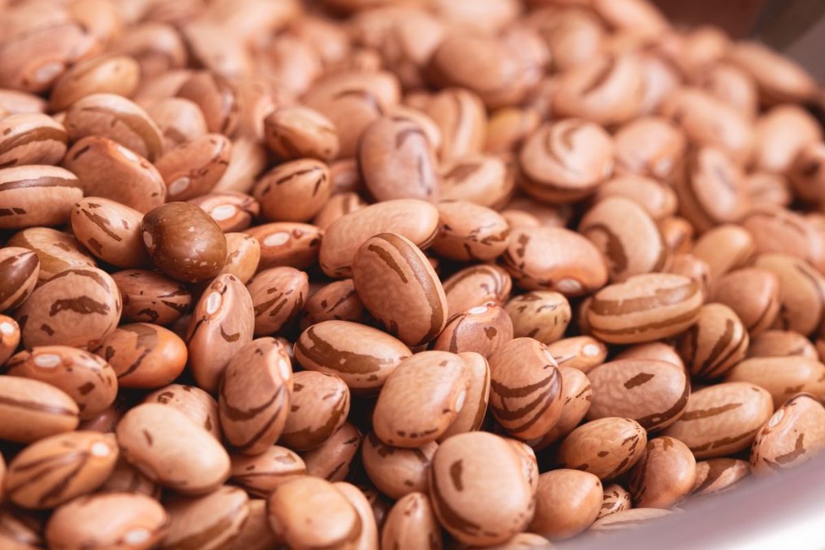 Como manter o colesterol “ruim” sob controle, segundo uma nutricionista