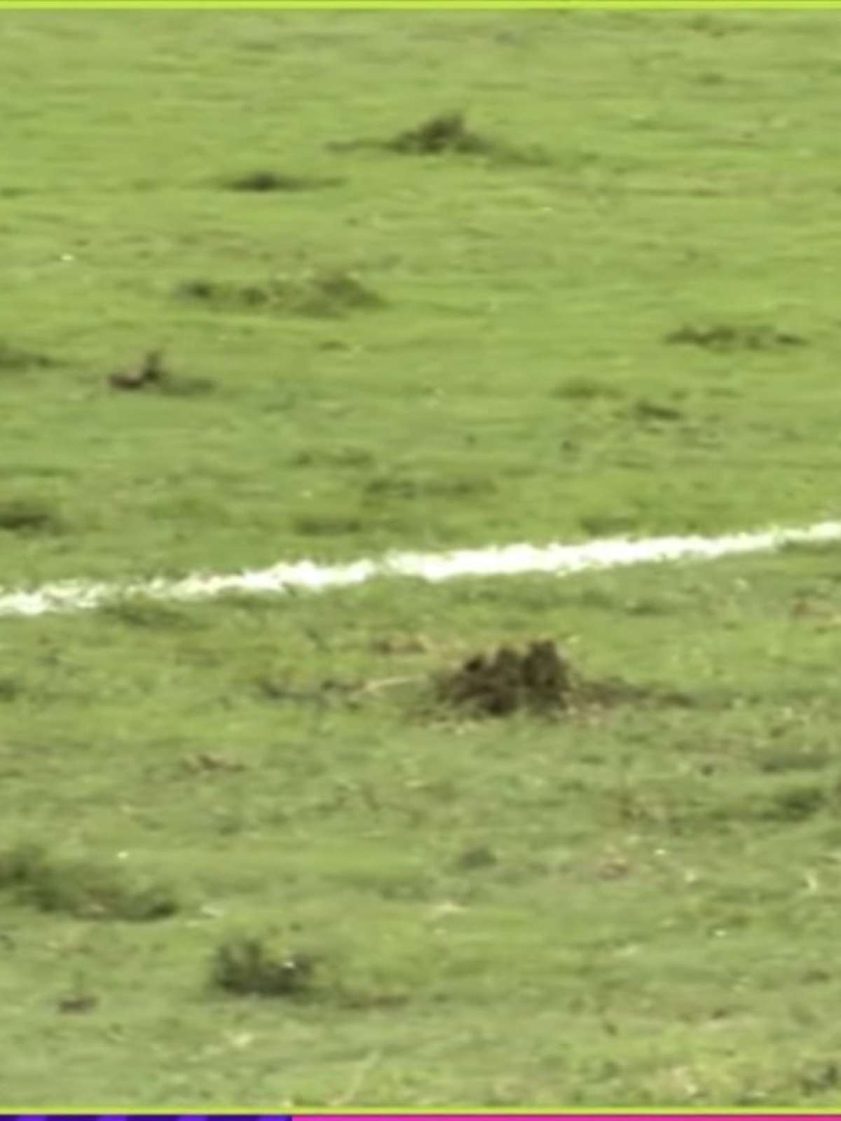 Gramado ruim em amistoso da Seleção gera reação de brasileiros nas redes: 'Pasto'