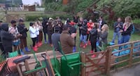 Sheila Barbosa analisa jogo de Serginho Hondjakoff em A Fazenda 18: ‘Botou para quebrar’